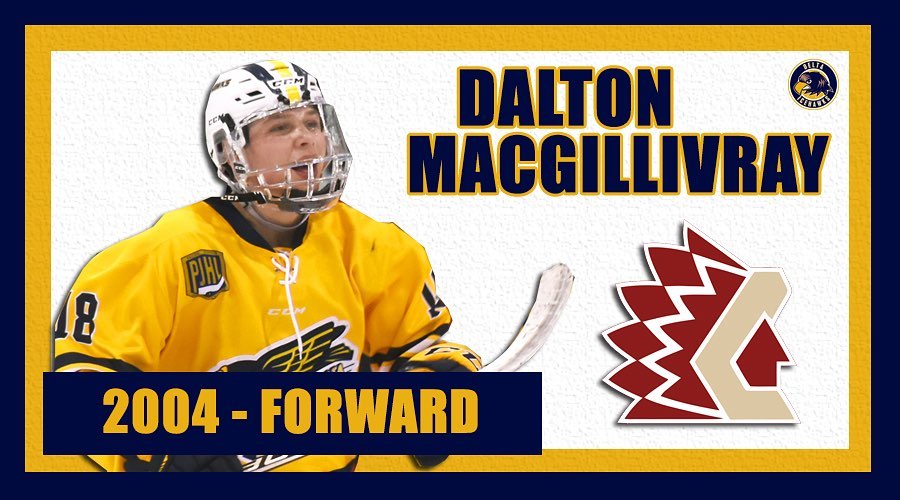 After being an AP last season, Dalton MacGillivray will be moving up to the @chwkchiefs and Jr. A full time next season! 

Congrats, Dalton! #DeltaHawkey