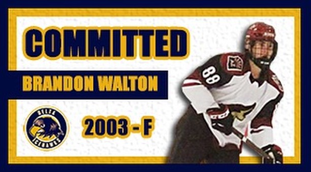 🚨 NEW SIGNING! 🚨

Before last week's deadline, the Hawks signed '03 F Brandon Walton! Brandon has played with AAA programs in Arizona, and has a few PJHL games under his belt with White Rock. 

He'll make his Hawks debut tomorrow night, wearing number 92! #DeltaHawkey