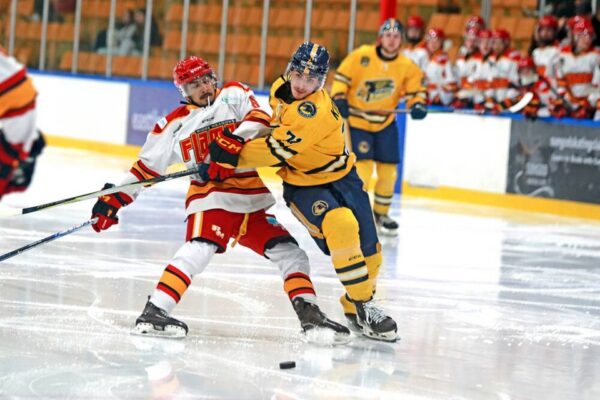 Delta Optimist – New league, new direction for Delta Ice Hawks